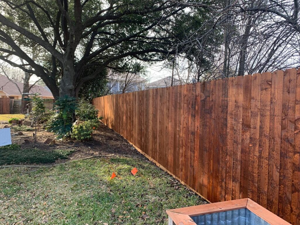 Stained cedar privacy fence under mature oak trees